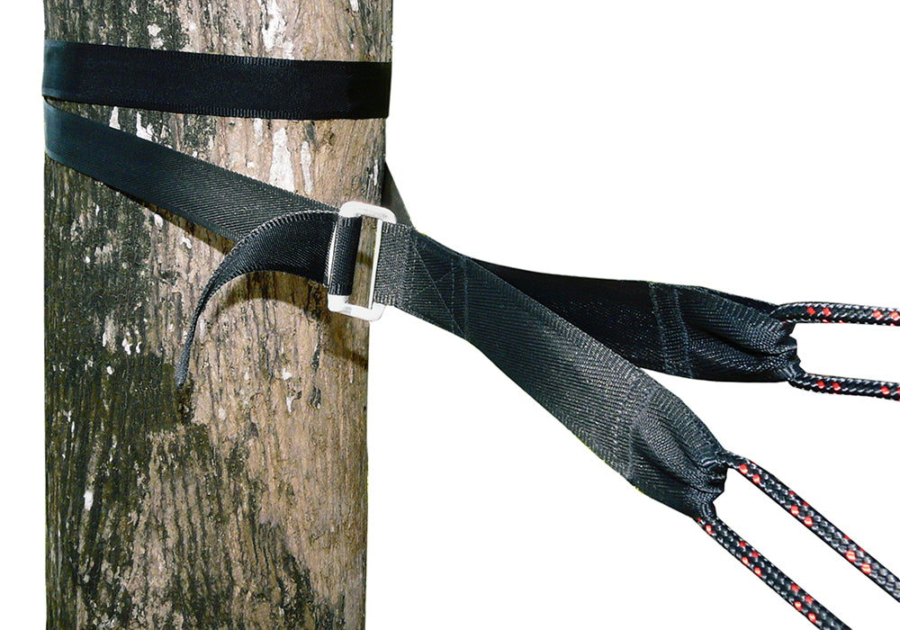 Sangles de serrage de luxe pour arbres