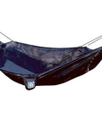 Sky Bed Bug Free
