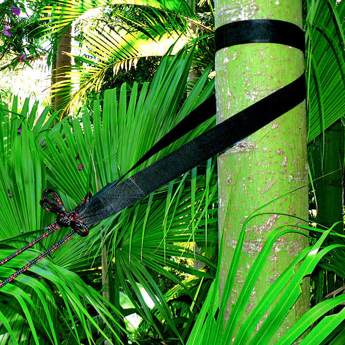 Sangles d'arbre extra longues