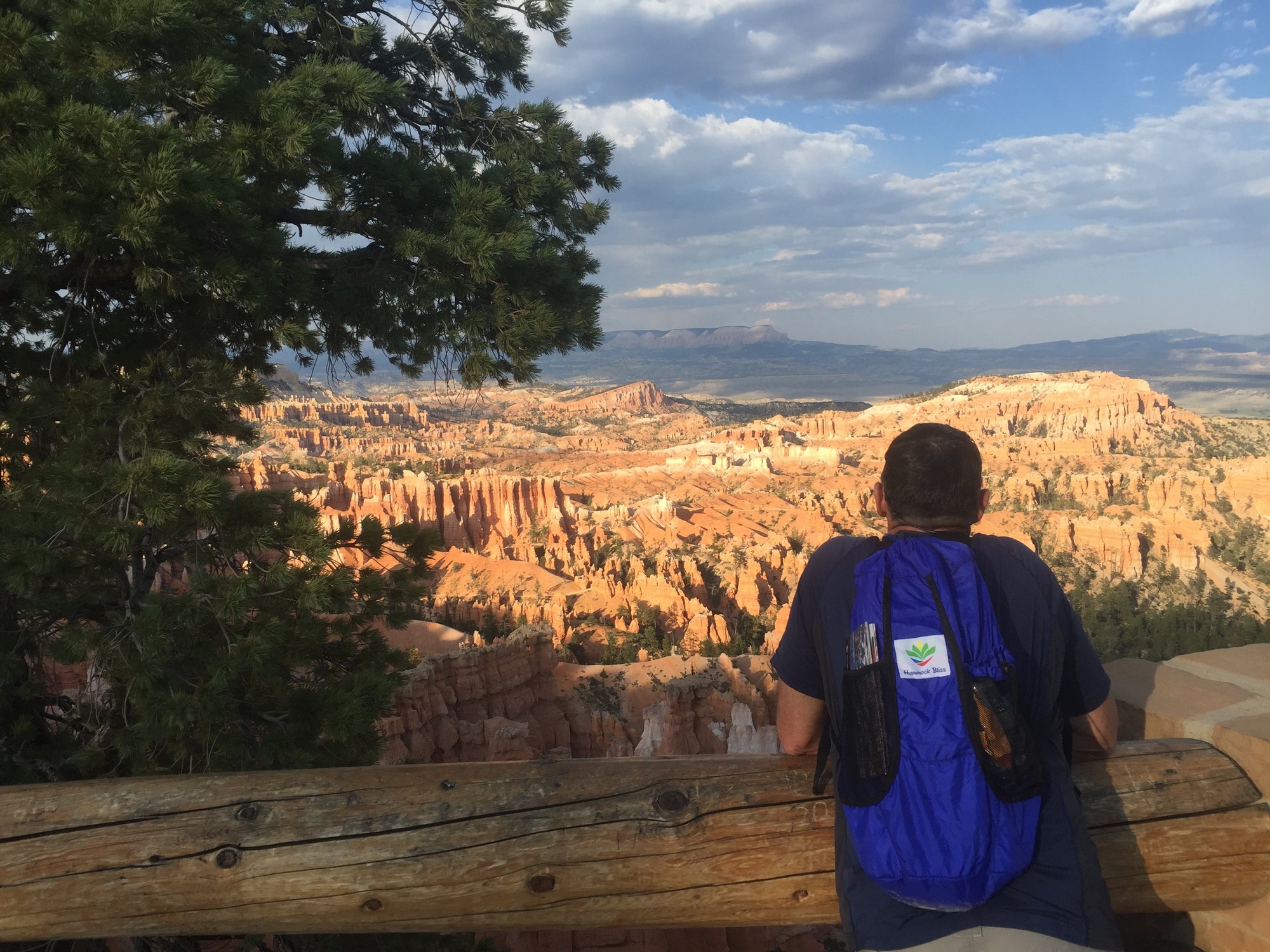 Ultralight Travel Daypack