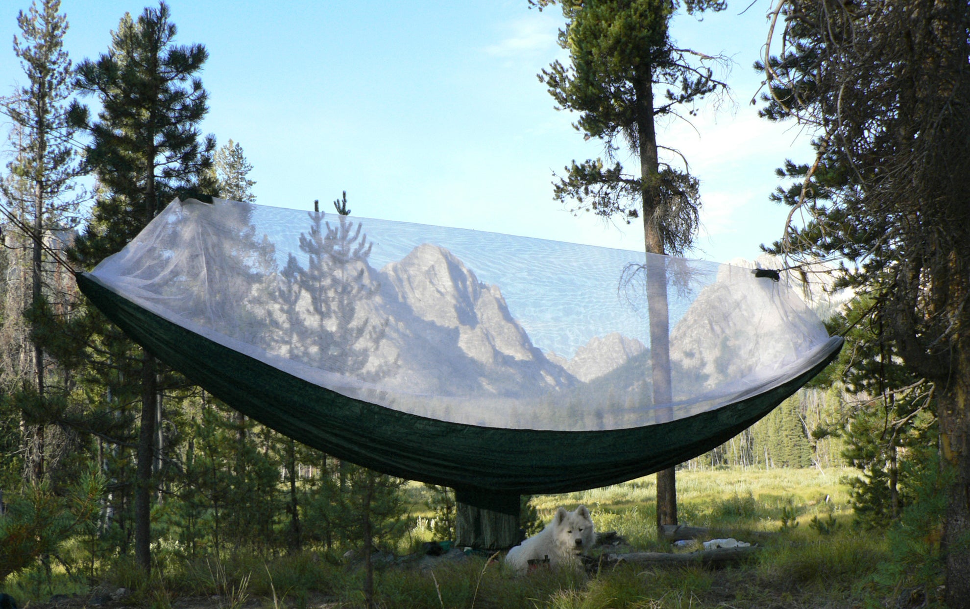Mosquito Free