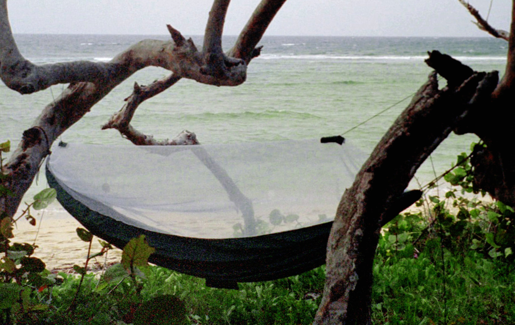 Mosquito Free