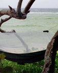 Mosquito Free
