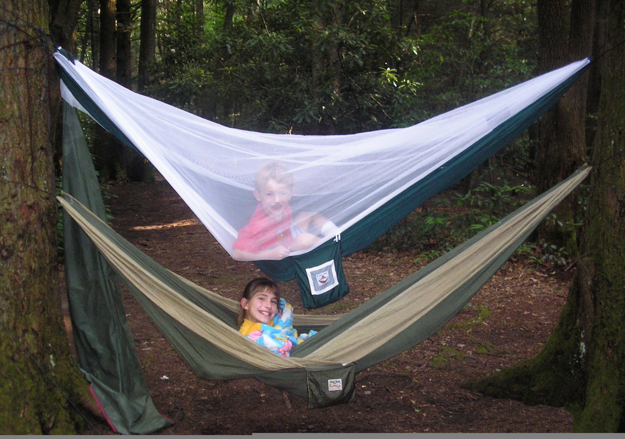 Mosquito Free