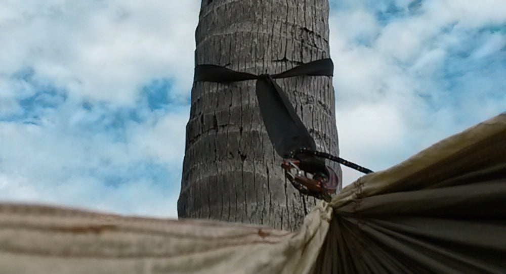 Sangles d'arbre extra longues