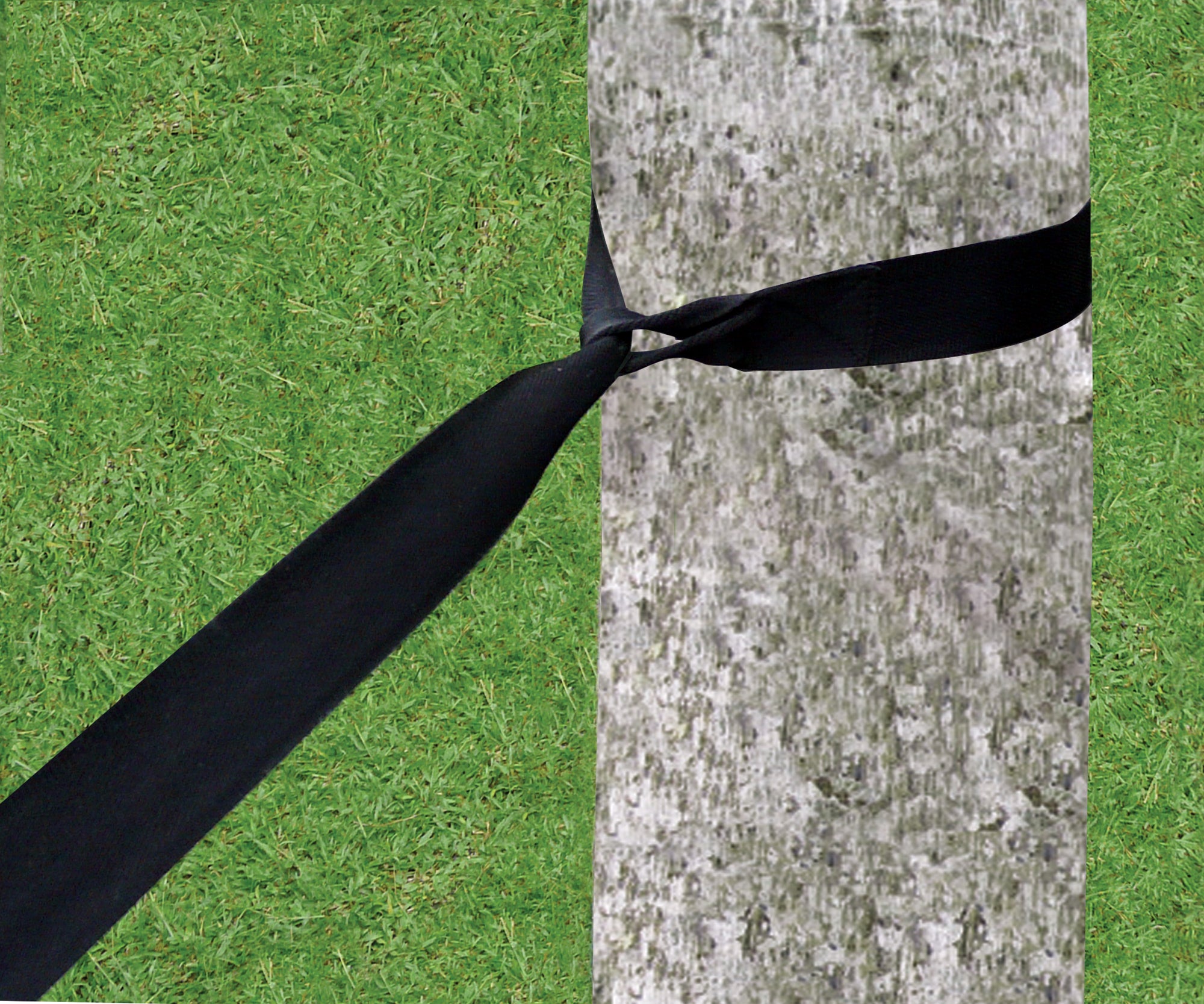 Sangles d'arbre standard