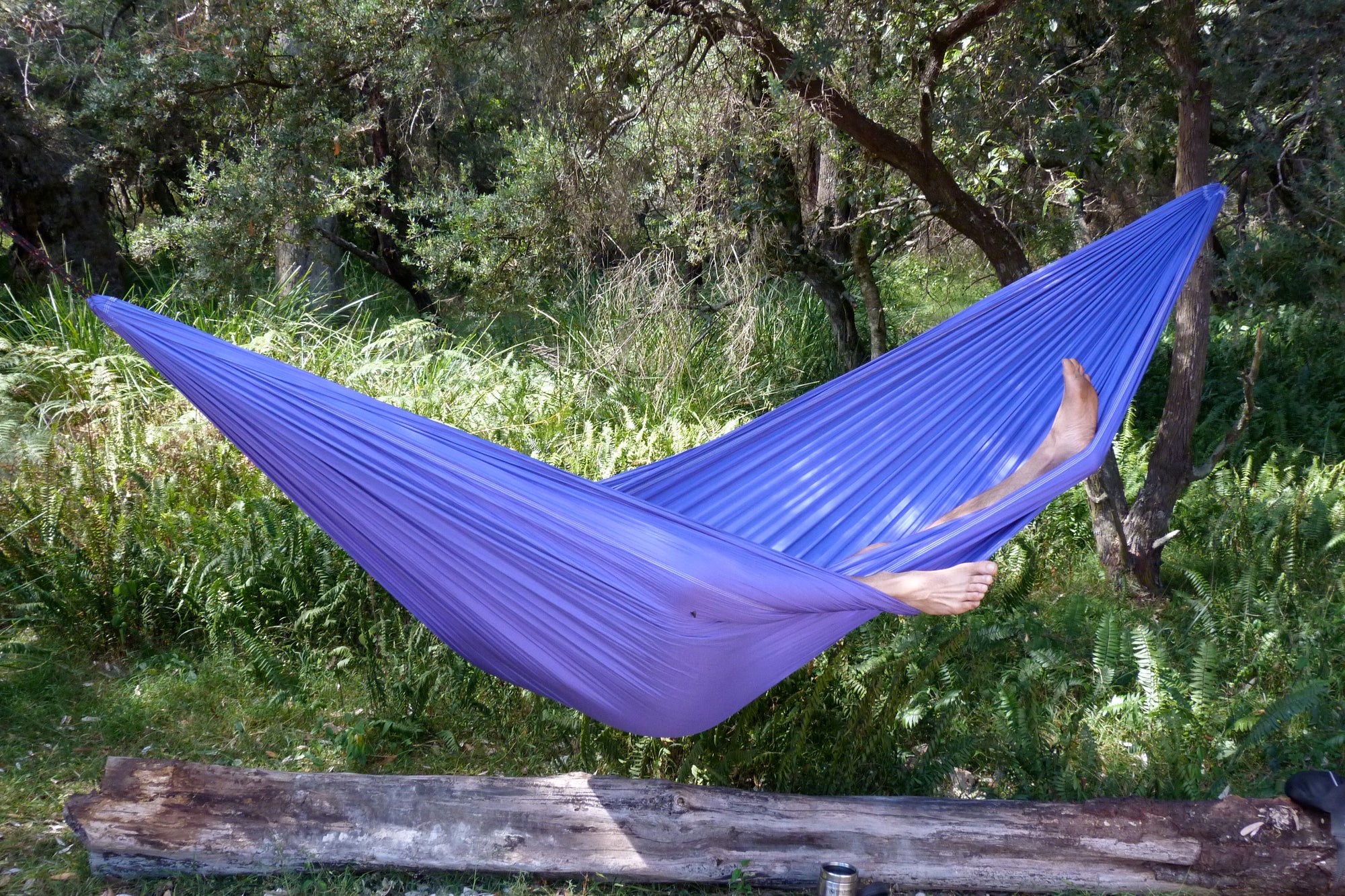 [新品] Hammock Bliss 蚊帳付きハンモック Amazon.com: Hammock with Mosquito Net - Fully Reversible Bug
