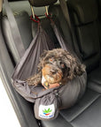 Sky Dog