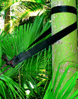 Extra Long Tree Straps