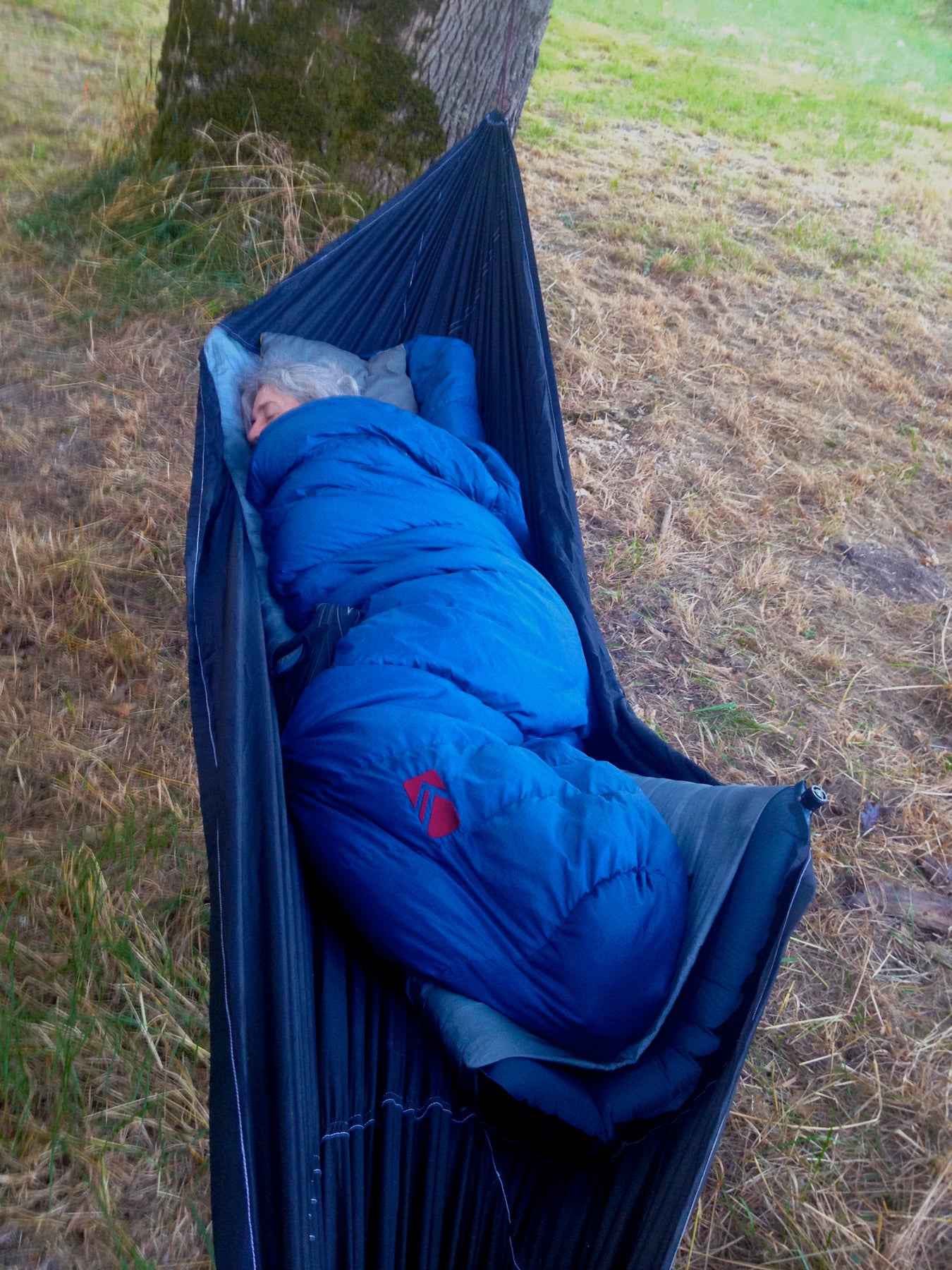 Premium Tent Hammocks for Camping in Australia › Aussie Tent Hammock