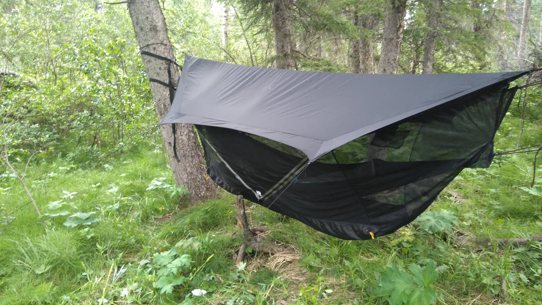 moral Recite fugl Sky Tent 2 - ST2 – Hammock Bliss