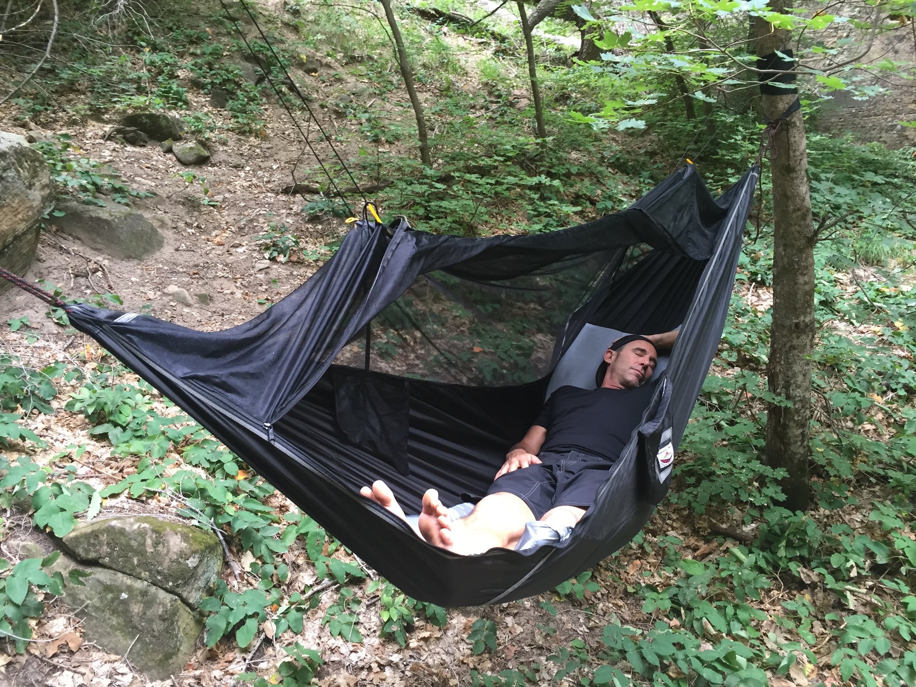 Hammock bliss sky bed bug free Clearance