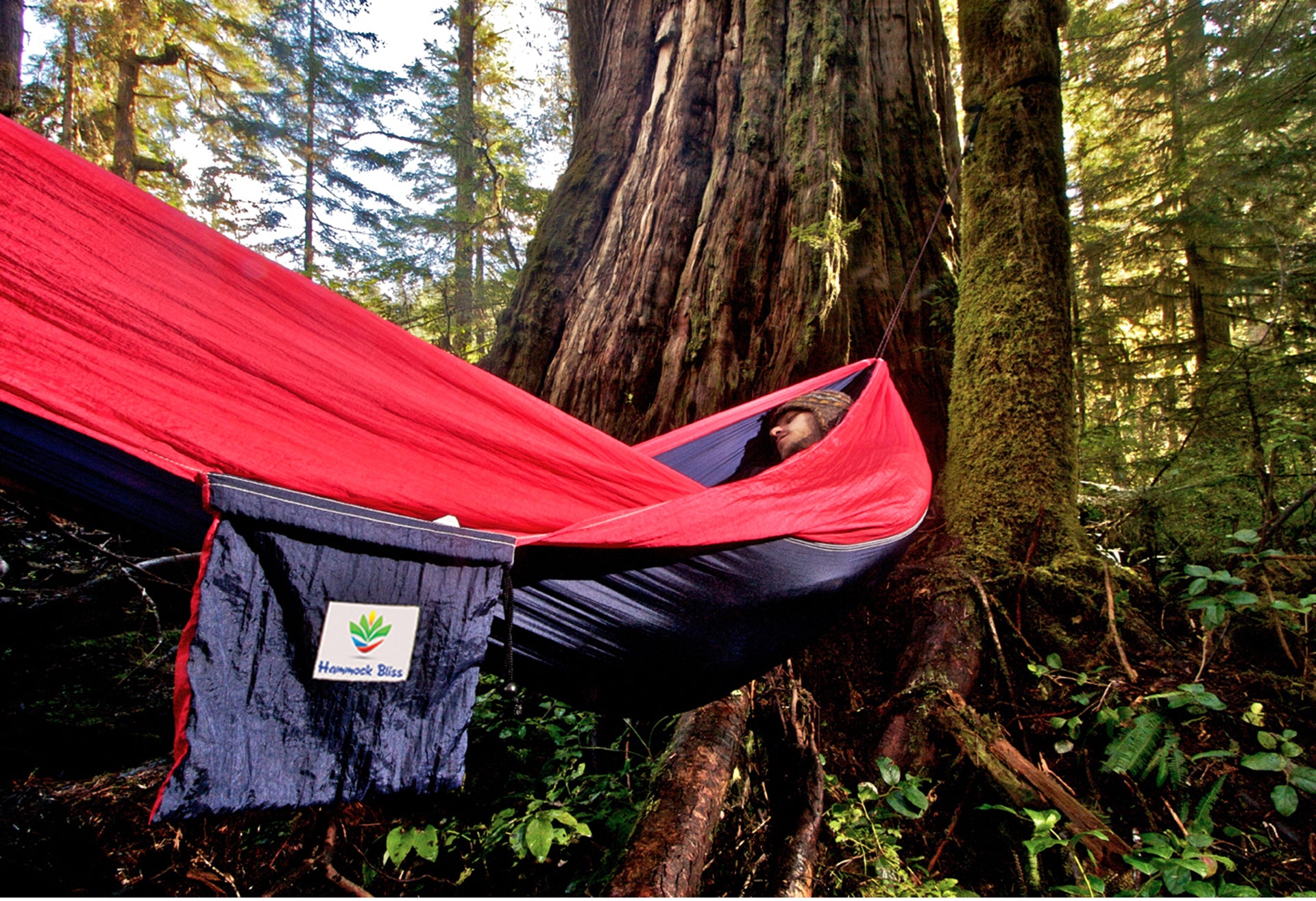 Single Bliss – Hammock Bliss