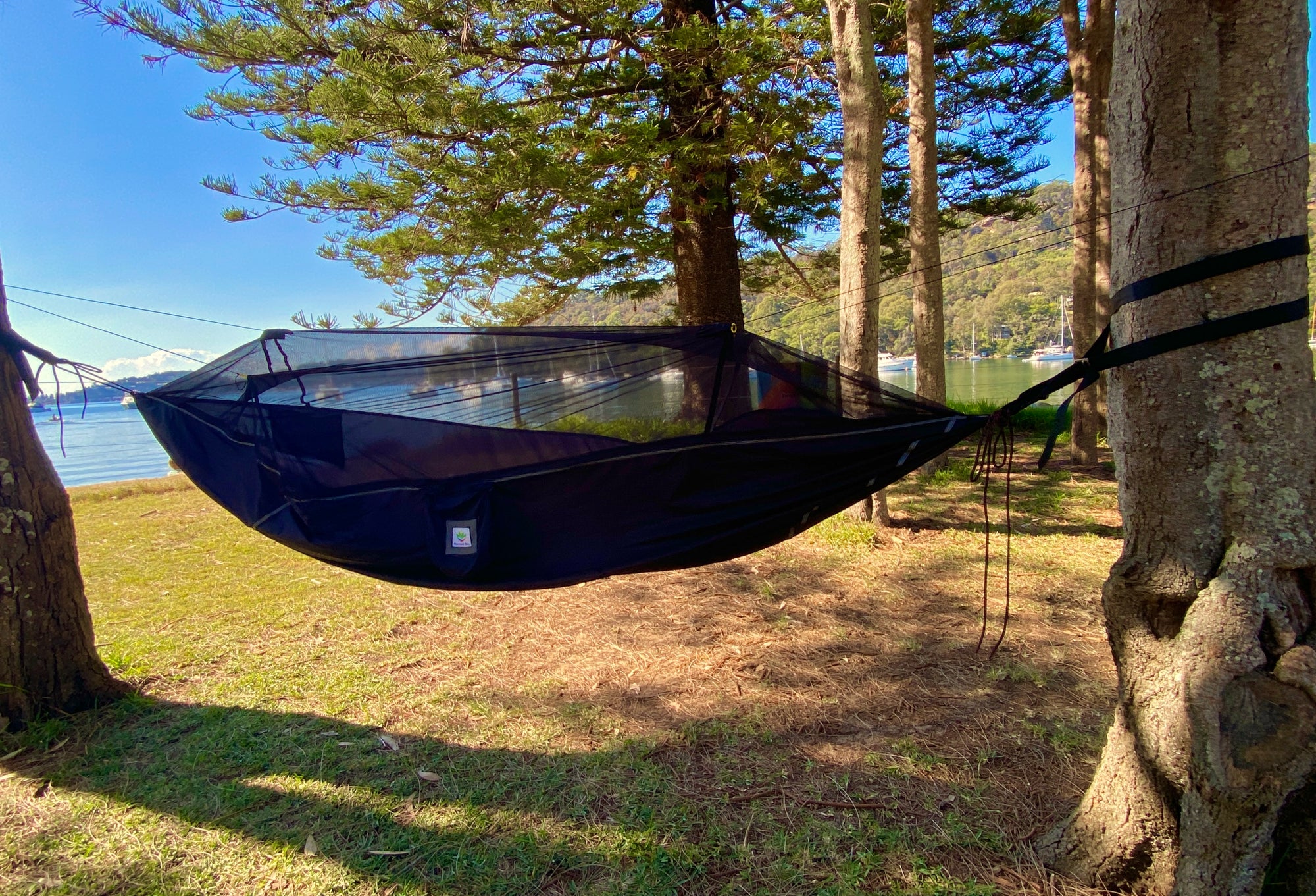 Sky Bed Bug Free