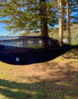 Sky Bed Bug Free