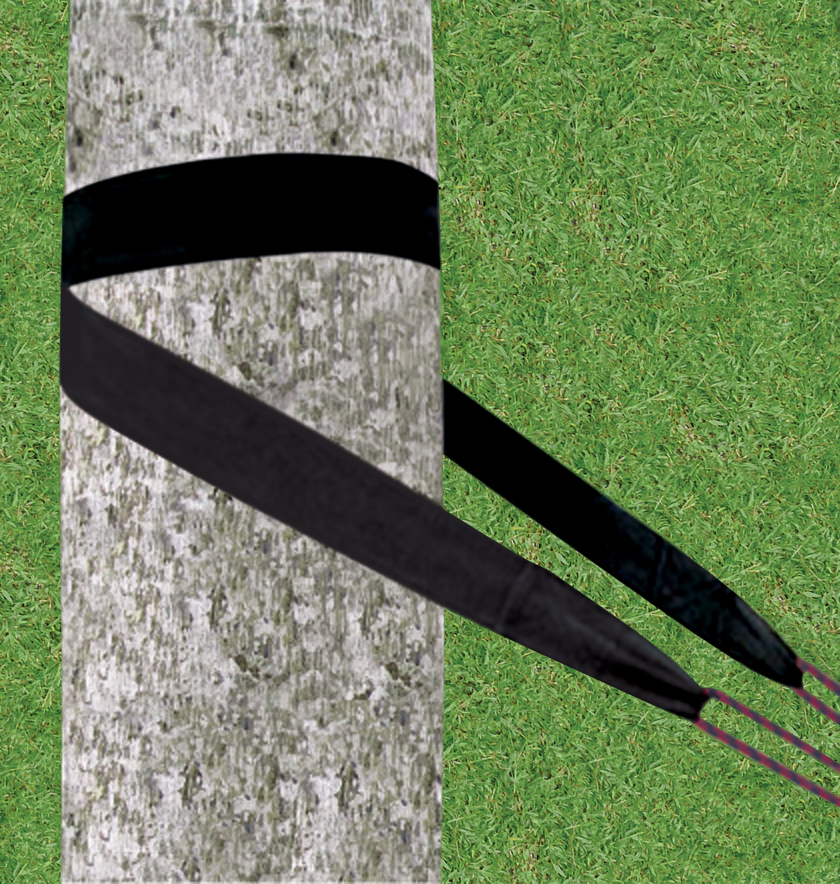 Standard Tree Straps – Hammock Bliss